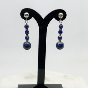 Adorn Earrings